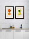 C.1886 Study of Citrus Fruits - Aurina Ltd