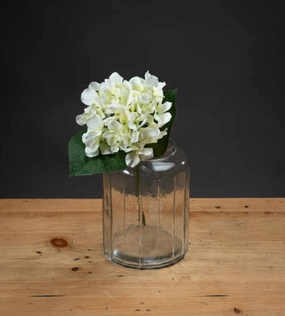 White Posy Hydrangea - Aurina Ltd