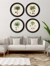 C.1843 Studies of South American Palm Trees in Round Frames - Aurina Ltd