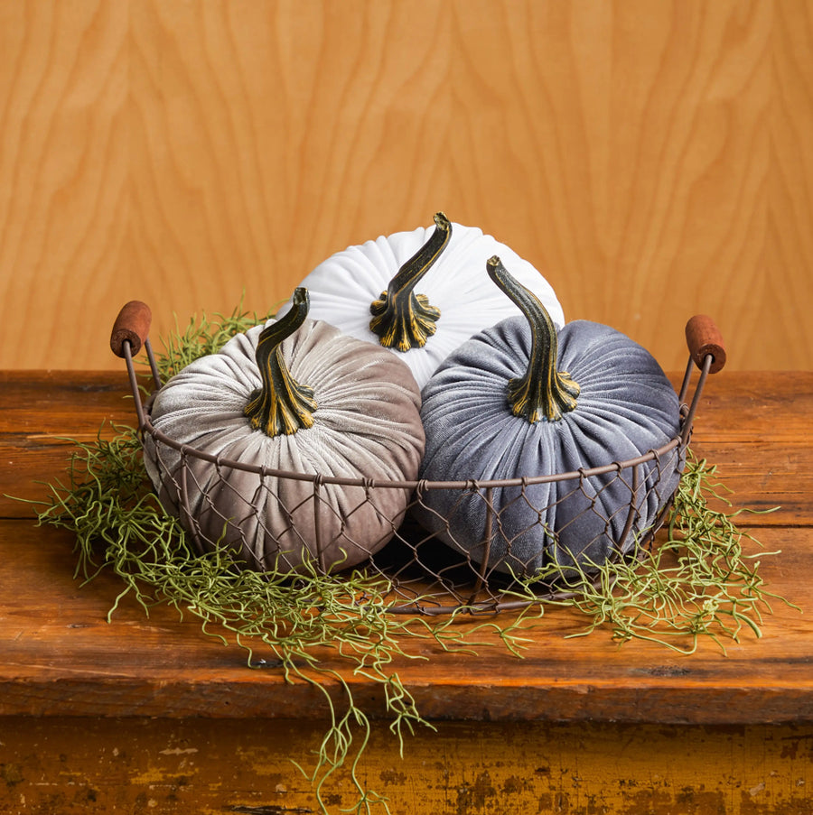 Large Velvet Pumpkin - Aurina Ltd