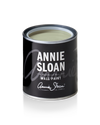 Annie Sloan Wall Paint Terre Verte - Aurina Ltd