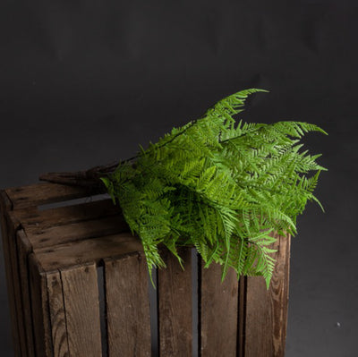 Green Fern Bunch - Aurina Ltd