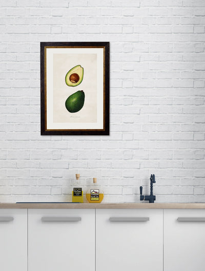 C.1886 Study of Avocados - Aurina Ltd