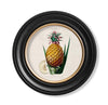 C.1843 Pineapple Plant - Round Frame - Aurina Ltd