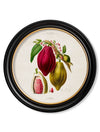 C.1843 Chocolate Plant - Round Frame - Aurina Ltd
