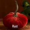 Small Velvet Pumpkin