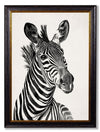 C.1890 Zebra Illustrations - Light - Aurina Ltd