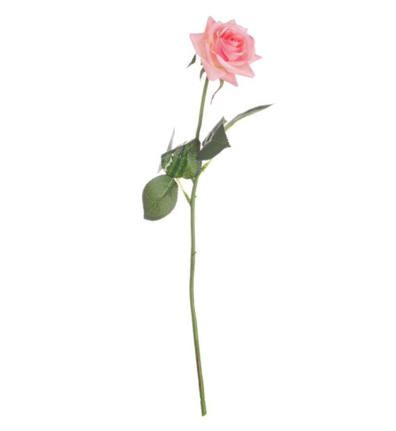 Pink Garden Rose - Aurina Ltd