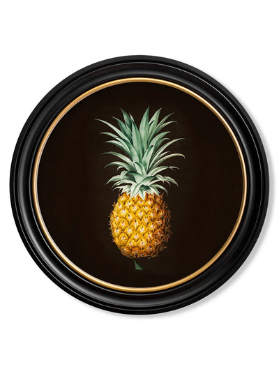 C.1812 Pineapple Study (Black) - Round Frame - Aurina Ltd