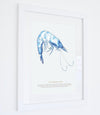 Framed Prawn Print - Aurina Ltd