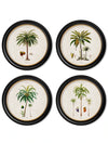 C.1843 Studies of South American Palm Trees in Round Frames - Aurina Ltd