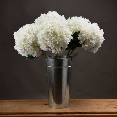 Large White Hydrangea - Aurina Ltd