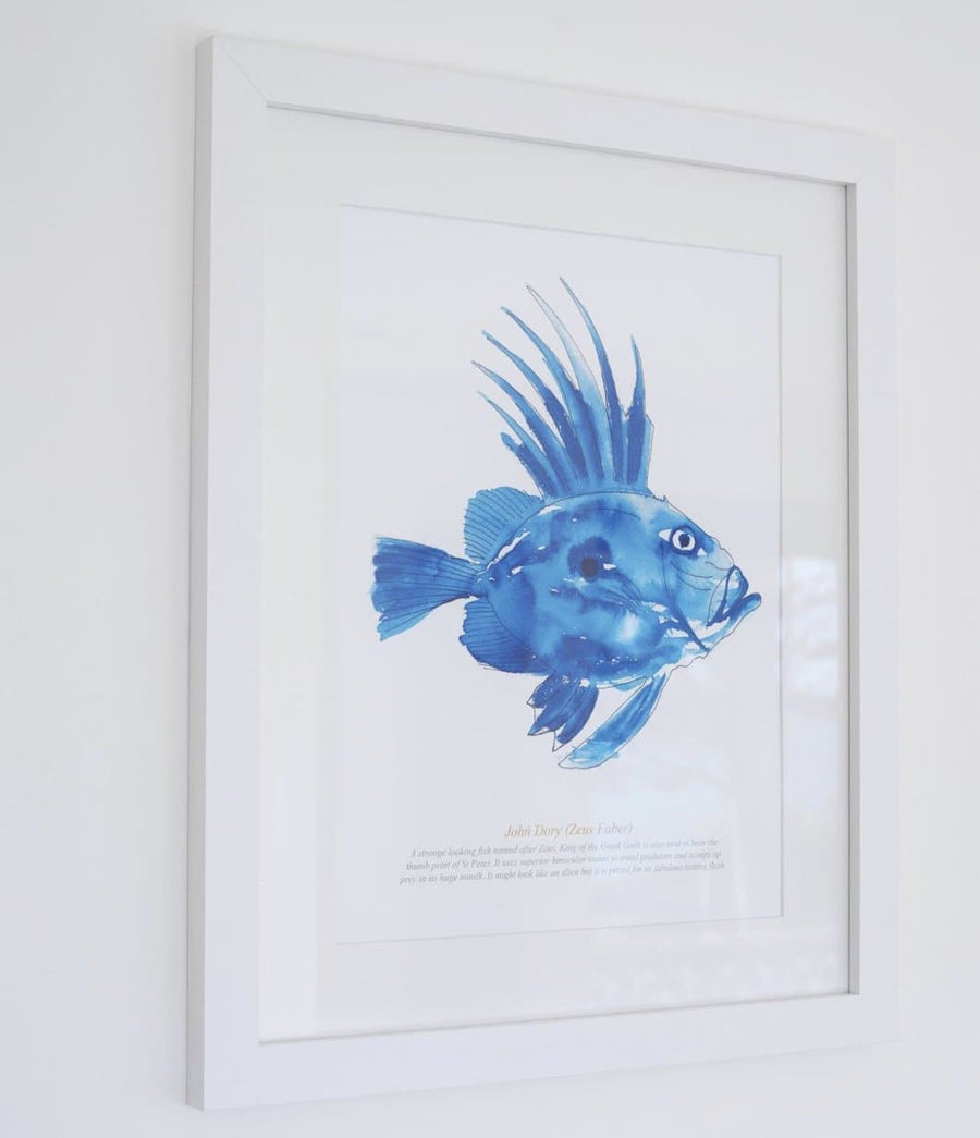 Framed John Dory Print - Aurina Ltd
