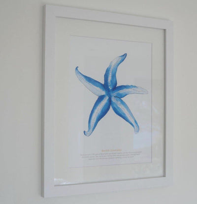 Framed Starfish Print - Aurina Ltd