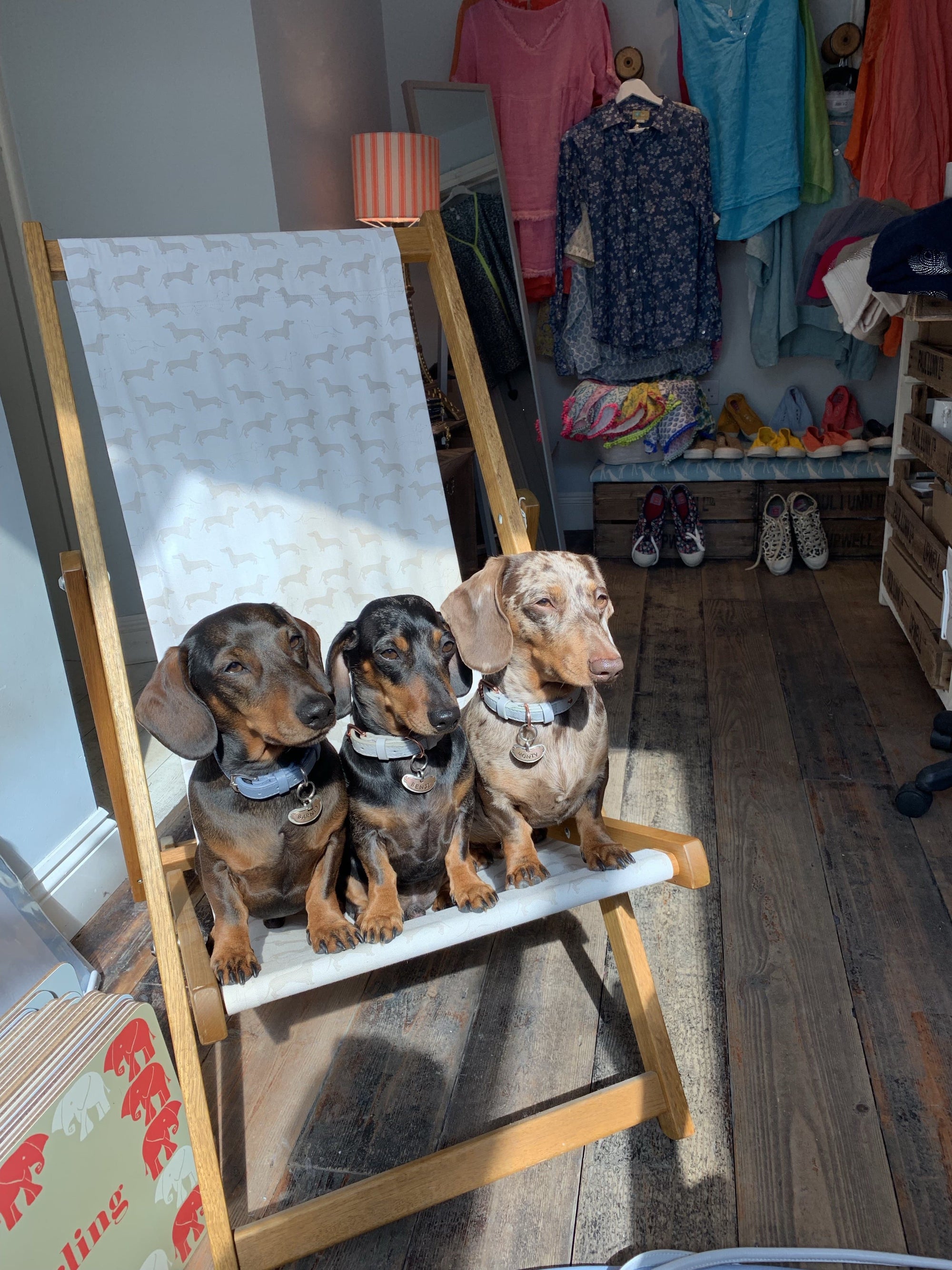 Aurina Deck Chair - Aurina Ltd