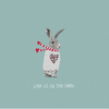 Love is in the Hare Card - Aurina Ltd
